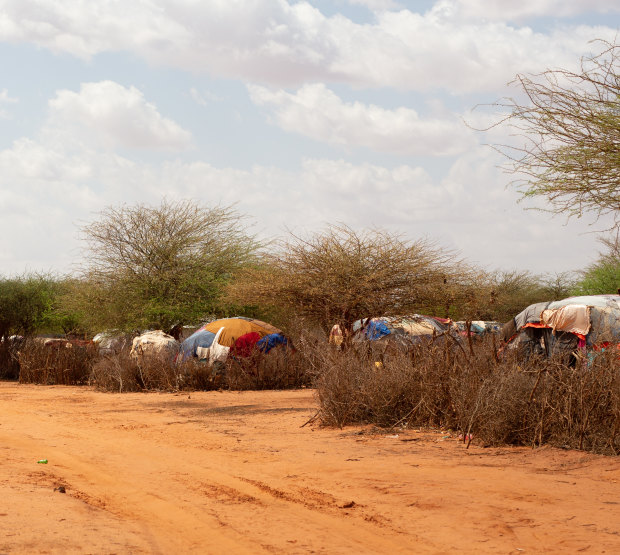 A camp for internally displaced people at Khaatumo in Somaliland.