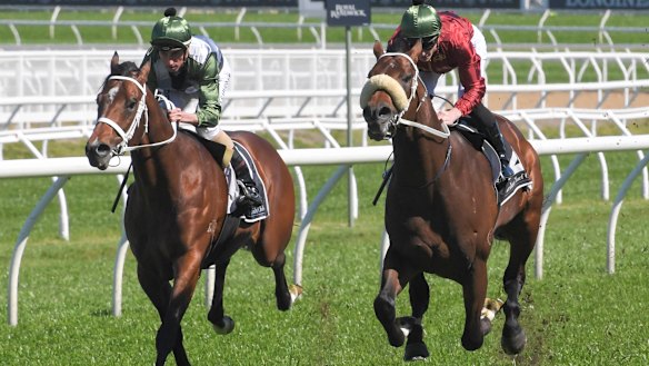 Yes Yes Yes (left) will again team up with Nash Rawiller in Saturday's Golden Rose at Rosehill.