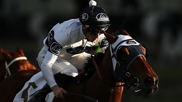 Iritrea wins the Dark Jewel Classic at Rosehill earlier in the year