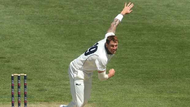 Off the pace: Victoria's James Pattinson failed to claim a wicket on day two at the Blundstone Arena in Hobart.