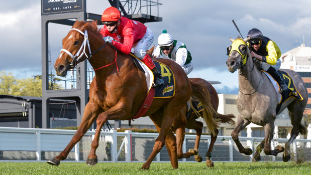 Craig Williams steers Instant Celebrity to victory in the Thousand Guineas Prelude at Caulfield in September.