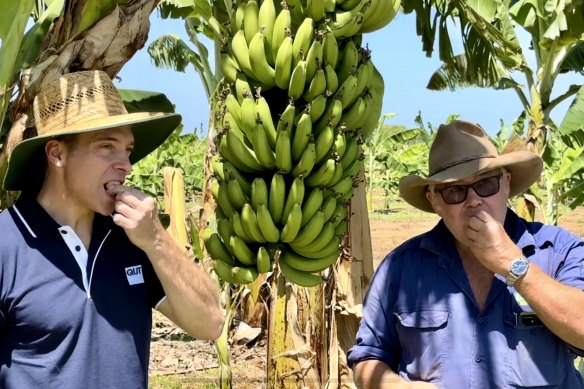 The QCAV-4 undergoes its most important test after 25 years of research.