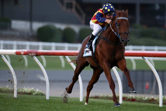 Nature Strip has the 1000-metre Moonee Valley track record.