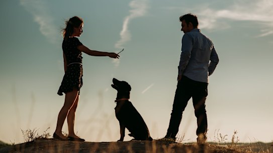 'There was something within Joe beyond understanding that neither of
us saw until much later.'