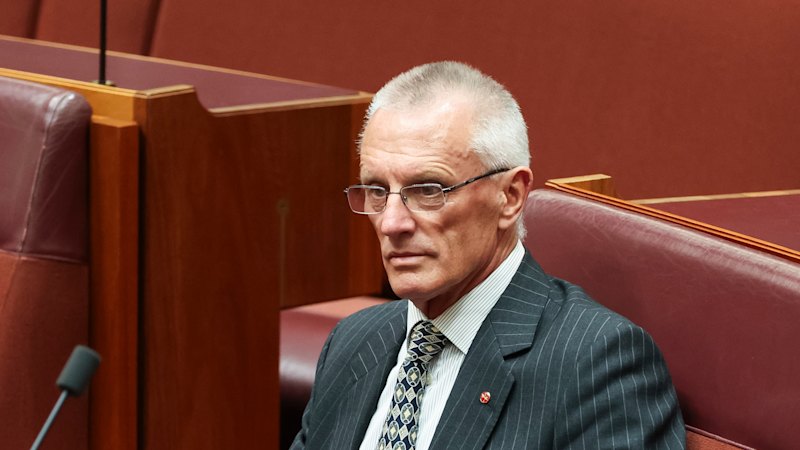 New One Nation senator resigns just three months after election