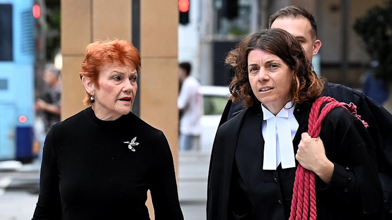 ‘Not just garden-variety racism’: Pauline Hanson under fire in court battle