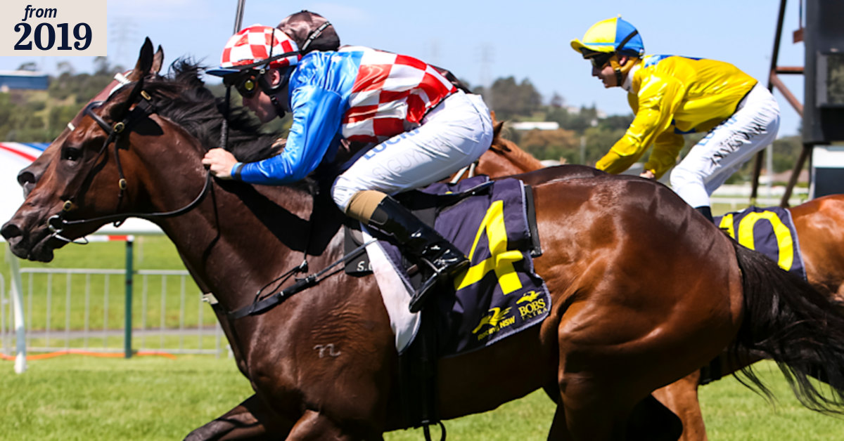 Race-by-race guide and tips for Mudgee on Sunday