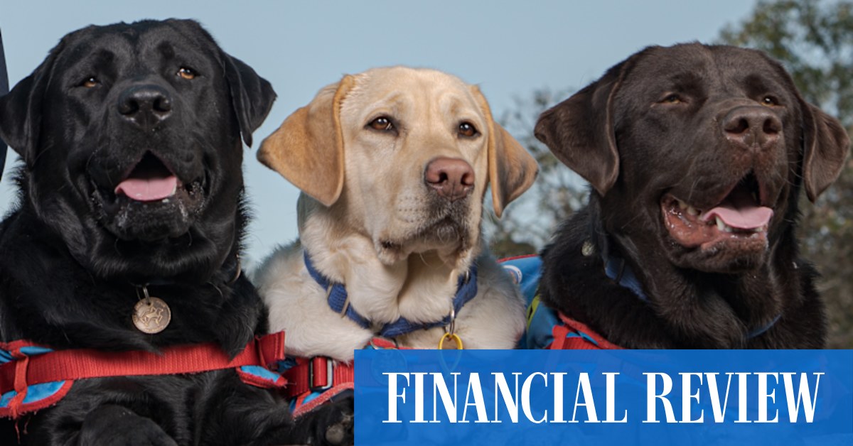 Assistance Dogs Australia to breed puppies for its programs to meet rising demand - Vimarsana News
