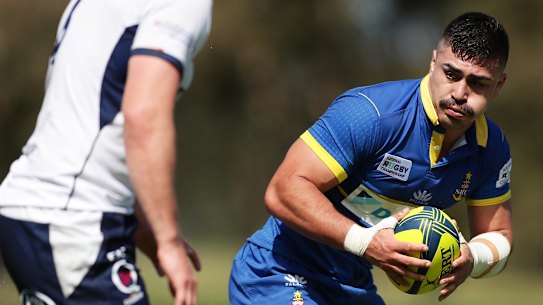 Australian pathway: Charlie Gamble takes on Queensland Country with Sydney at Woollahra Oval.