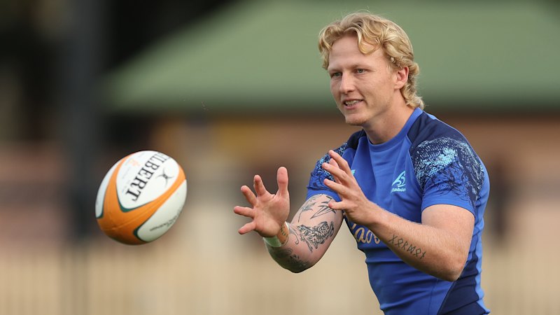 Wallabies to deploy new halves combination against Ireland (australia) — SMH