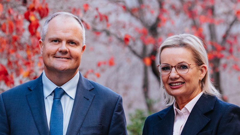 Sussan Ley can learn from the best, and worst, Liberal leaders