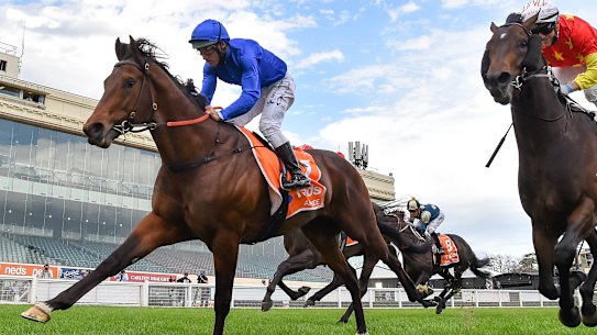 Damien Oliver (blue silks) aboard Anamoe charges to victory in the Caulfield Guineas.