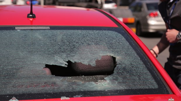 Police fired beanbag rounds into a car during the arrests.