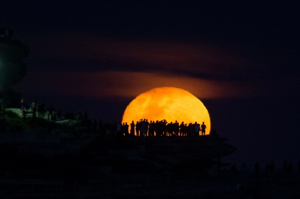 The moon rises above Ben Buckler point at Bondi, a day after the supermoon was obscured by clouds.
