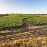 Why this WA vineyard is Australia’s best (spoiler: it’s not in Margaret River)