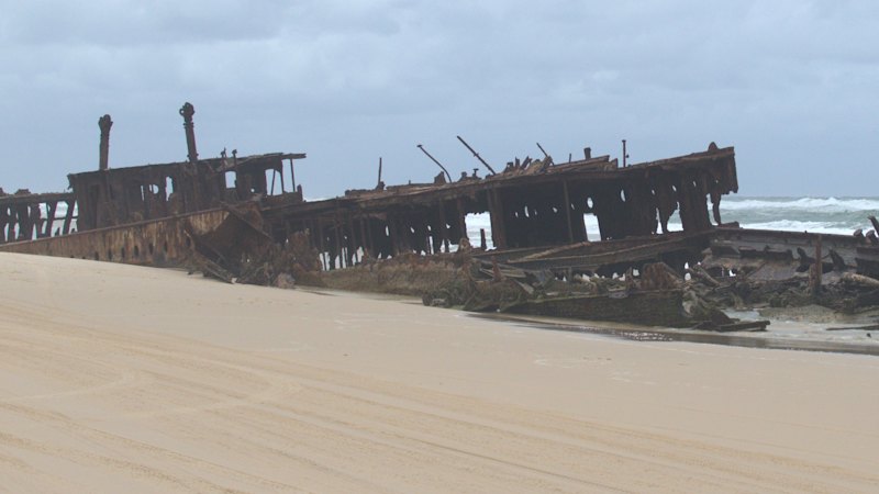 Young woman found dead near K’gari shipwreck as police investigate possible dingo attack