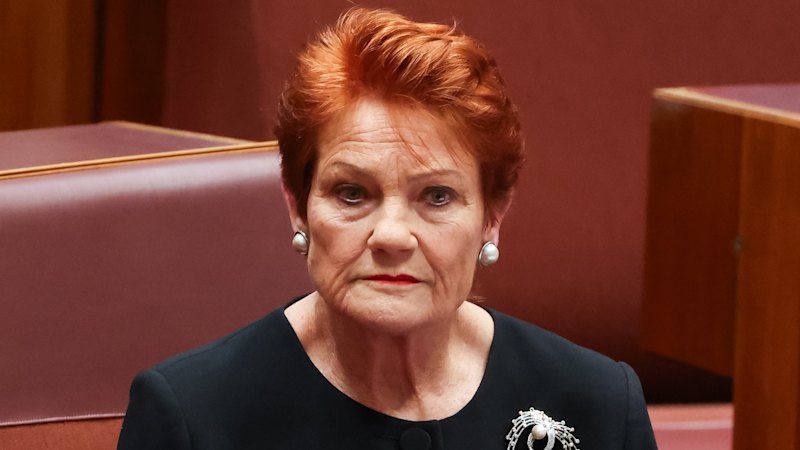 One Nation failed to disclose $255k from Queensland election
