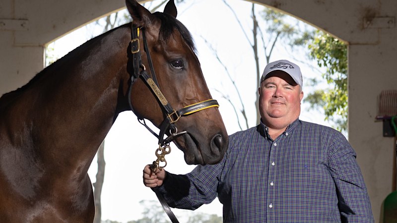 Widdup stable set to continue dominance at Hawkesbury