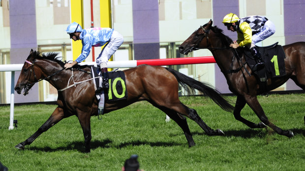 Snippets Land wins the 2015 National Sprint.