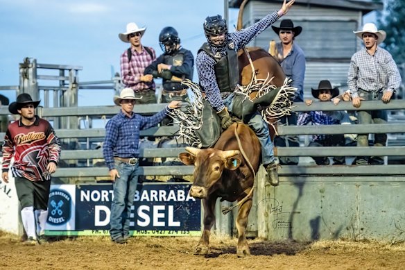 Darcy Todd, Jack’s younger brother, has his older sibling beat when it comes to bull-riding.