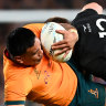 Wallabies suffer more Eden Park pain in huge defeat to All Blacks