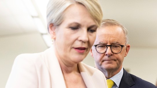 Water Minister Tanya Plibersek and Prime Minister Anthony Albanese.