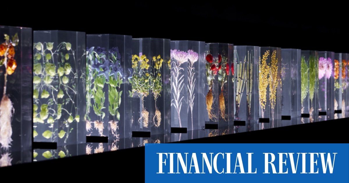 Meet punk florist Makoto Azuma, whose extraordinarily beautiful 'Block Flowers' is on display at the NGV Triennial in Melbourne - Vimarsana News