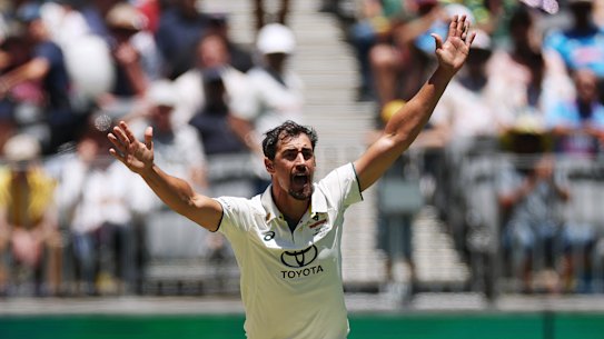 Paceman Mitchell Starc has had plenty of experience bowling at the WACA in Perth. 