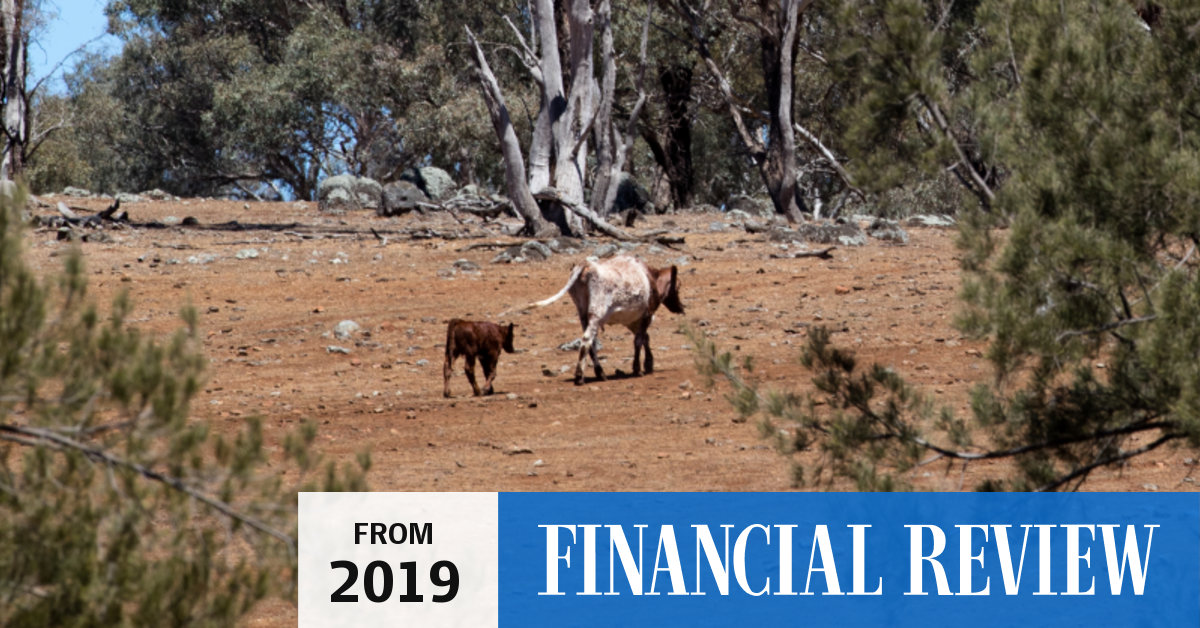 what the drought means for your share portfolio