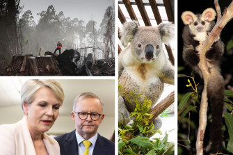 State of the environment composite