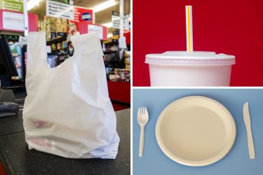 Nine single-use plastic items will be phased out in Western Australia from the new year, including plates, cutlery, straws and thick plastic bags.