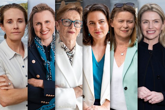 Teals are lining up to take on the Liberal Party in its heartland.