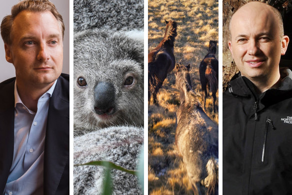 Environment Minister James Griffin, left, and former environment minister Matt Kean, right. Declining koala populations and skyrocketing numbers of wild horses are dark spots on the Coalition’s environment record.