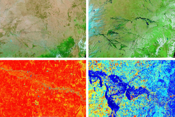 Top: NSW’s Darling, Lachlan and Murrumbidgee rivers in drought in 2019 (left) and after flooding in 2022. Bottom: A normalised difference moisture index representation of the Lachlan River in 2019 (left) and 2022.