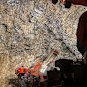 Kaiser Reef will boost the development of its Henty underground mine in western Tasmania, with the return of an additional twin-boom jumbo rig.