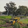 The school would not specify exactly how many trees were being cut down. 