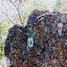 Golden Deeps Limited has hauled in huge rock chip hits with soaring copper, silver, zinc, lead and germanium grades at its Central Otavi polymetallic project in Namibia.
