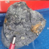 EV Resources has uncovered yet more copper-moly porphyry targets, this time back at home in Queensland.