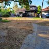 Waverley councillor Will Nemesh said residents have slipped and fallen over on the mess left by fuit bats.