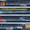 Strickland Metals has identified visible gold from diamond drilling at its Palomino prospect near Wiluna.