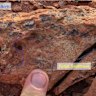 Gateway Mining’s surface rock sampling has identified a sample which shows evidence of the contact between the outcropping Great Western granitoid intrusive (left) and its enclosing sedimentary rock (right).