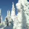 Latitude launches scoping study as Finnish gold assays shine