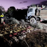 Venture Minerals has recorded another record-breaking rare earths hit at its Jupiter deposit.