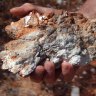 Terrain on trail of ‘significant’ WA rare earths discovery