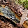 Stibnite veins from the Skyline Reef at Siren Gold’s Queen Charlotte project in New Zealand returned 1.3g/t gold and 19.7 per cent antimony.
