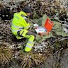 Latitude 66 will participate in a comprehensive European Union-funded geophysical and geological survey of its flagship KSB critical minerals project in Finland, which will include a huge area of magneto-telluric measurement.