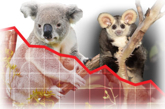 Composite: Kathleen Adele