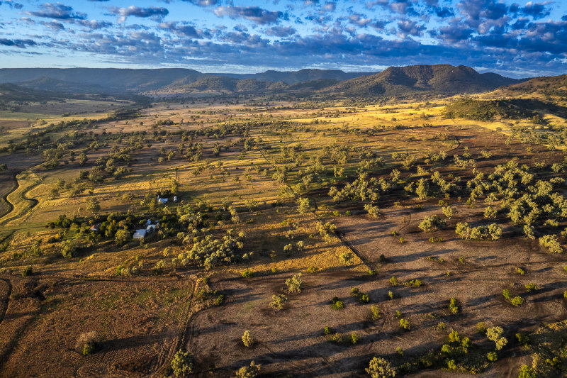 German billionaire bags $17m cattle farm, Chinese tycoon into cotton