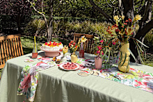 Dinner party homewares