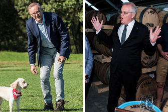 Labor leader Anthony Albanese emerged from lockdown this morning as Prime Minister Scott Morrison campaigned in Tasmania. 